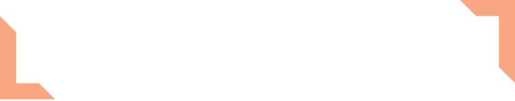 LeadLogic Logo