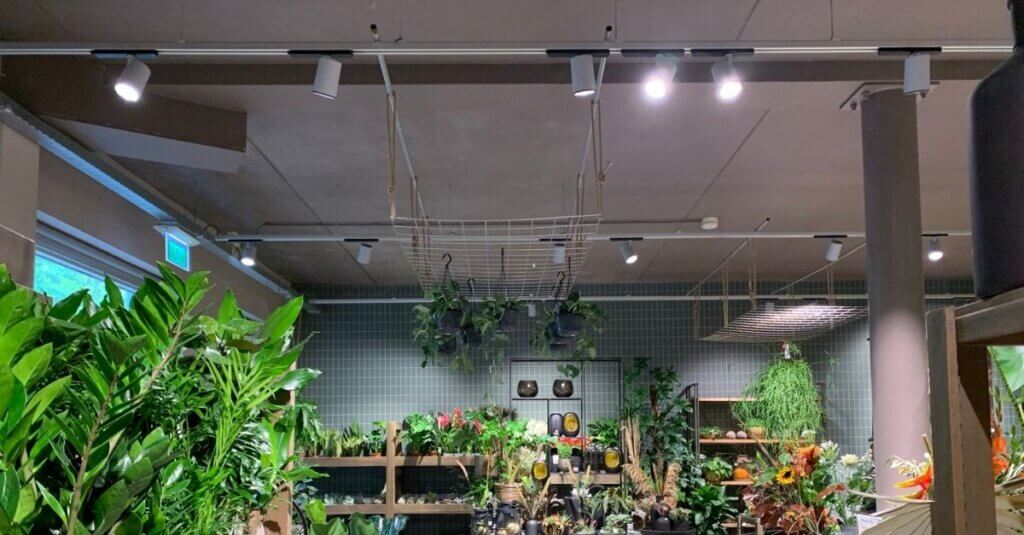 led flower shop